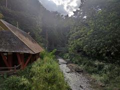 -西双版纳原始森林公园