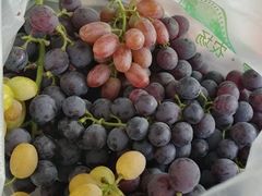 -成都美盈都市现代农业示范园