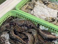 -华威西营里农产品批发市场
