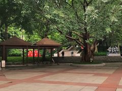 -广州雕塑公园