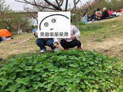 -秀丽东方