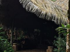 -呀诺达热带雨林