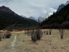 -稻城亚丁景区-冲古草甸