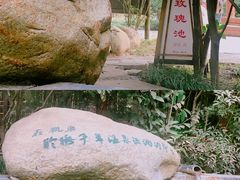 -观唐（国际）度假村温泉
