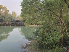 -长广溪湿地公园