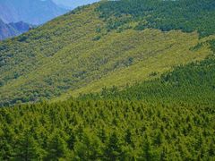 -白草畔自然风景区