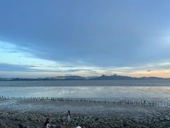 -深圳湾公园(南山区)