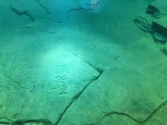 -白鹤梁水下博物馆