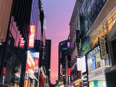 -line friends(明洞旗舰店)