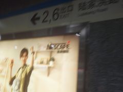 -陆家浜路(地铁站)