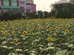 -广州花之恋城堡酒店