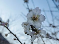 -广州市流溪河国家森林公园