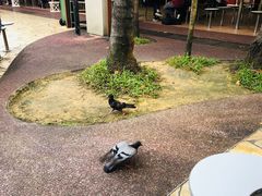 -纽顿熟食中心