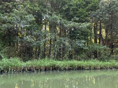-同里国家湿地公园