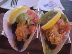 -Famous肥猫墨西哥音乐餐吧(五棵松华熙LIVE店)