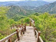 -大岭沟猕猴桃谷风景区