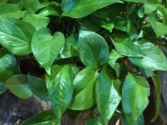 -蒙亨·手把肉·蒙古包文化主题餐厅(天恒广场店)