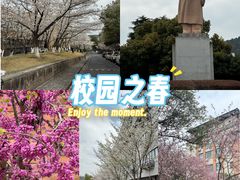 -浙江大学(玉泉校区)