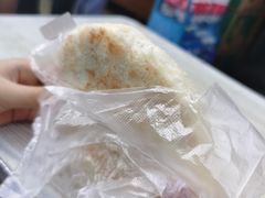 -眼镜粑粑