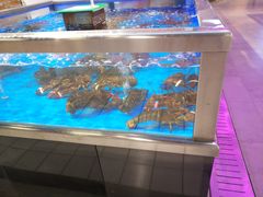 -神农美特好生鲜超市(康宁街店)