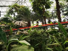 -南宫五洲植物乐园