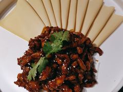 京酱肉丝-北平盛世·新京菜·北京烤鸭(劲松·双井店)