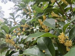 -狼山风景名胜区