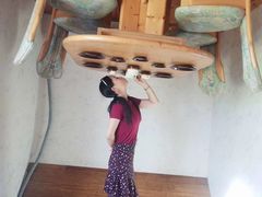 -金山农民画村-枫泾波兰倒置屋