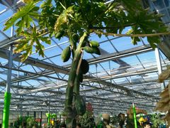 -天源吉布世温泉水乐园