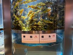 -老船舫·现做活鲜鱼馆(东郊记忆店)
