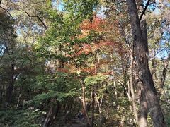 -三块石国家森林公园