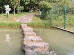 -中国扬子鳄村