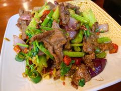 爆炒小黄牛-苗湘食府(十年店)