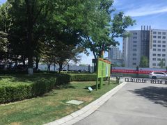 -青枫公园