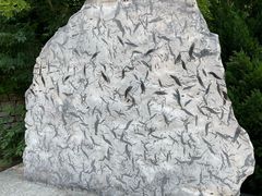 -府君山公园