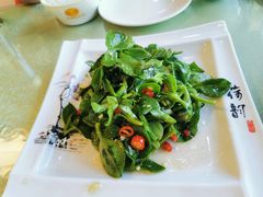 -鑫紫玉食府·巴特私房菜