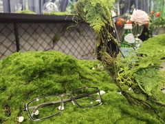 -大视光学•LINDBERG林德伯格•全球手工眼镜集合店(王府井店)