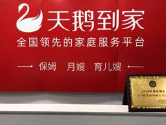 -天鹅到家·保姆月嫂育儿嫂(龙华店)