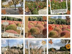 -世纪公园-世纪春沁园