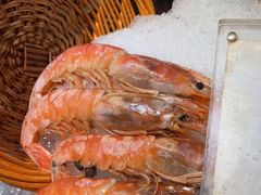 -盛宴自助餐厅(运达喜来登店)