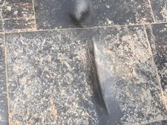 -赵州桥景区