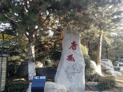 -中国唐苑