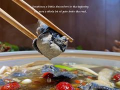 -土连锅·现熬养生汤锅(梁家巷店)