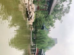-迎泽公园