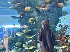 -福州罗源湾海洋世界旅游区