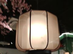 -荷塘秋月·本帮江浙菜(国权路店)