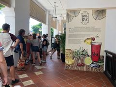 -Long Bar(莱佛士酒店)