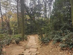 -青城山