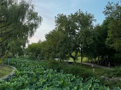 -阳澄湖半岛旅游度假区