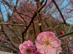 -辛亥革命博物院北区